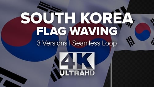Waving South Korea National Flag Seamless Loop Animation
