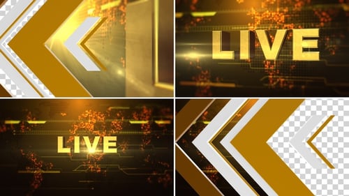 Live Transition Golden
