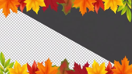 Fond de feuilles d'automne 2 Alpha