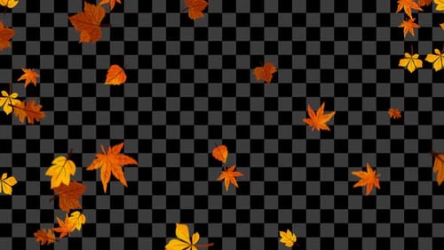 Falling Autumn Leaves Alpha Channel Loop Background