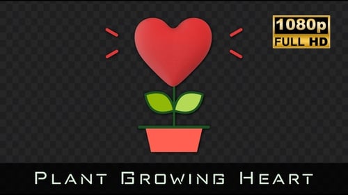 Plant Growing Heart | Valentines Day