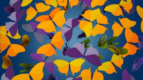 Butterfly Background