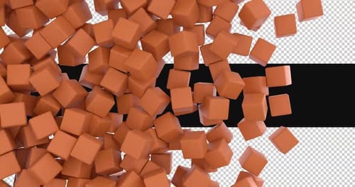 Dynamic 3D Cubes Reveal Transition