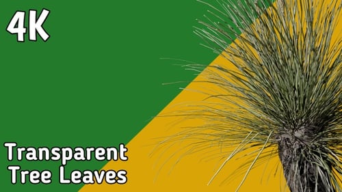 Realistic Plant Leaves Moving Footage