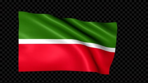 Realistic Waving Flag Animation with Green White Red Stripes