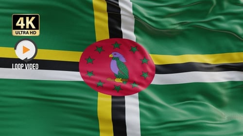 Dominica Flag Waving Realistic Loop Animation