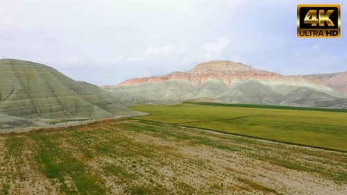 Planted Field in Front of Colorful Mountains