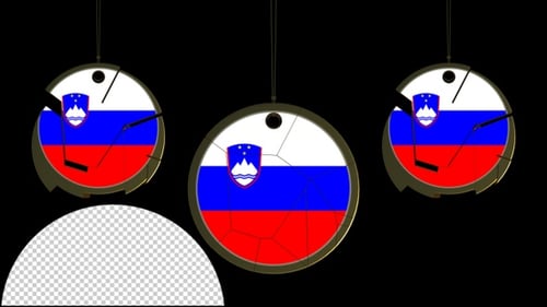 3D Segmented Circle Image Reveal Logo Animation