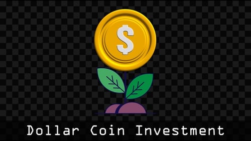 Dollar Coin Investment