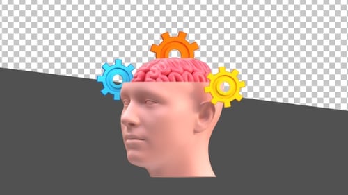 3D Cognitive Process Overview | Alpha Channel