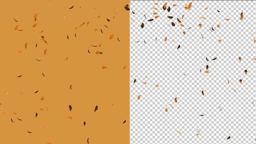 Dry Leaves Falling on Cut Out Alpha Channel Black Background 3D Animation.