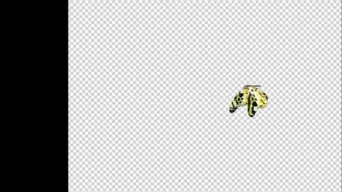 Realistic Butterfly Flight Animation for Nature Videos