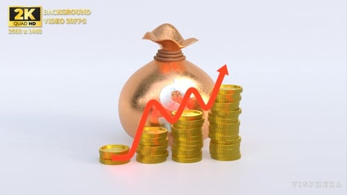 Rising Money Bag And Coin Stacks