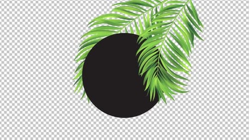Tropischer Palmblatt-Hintergrund HD