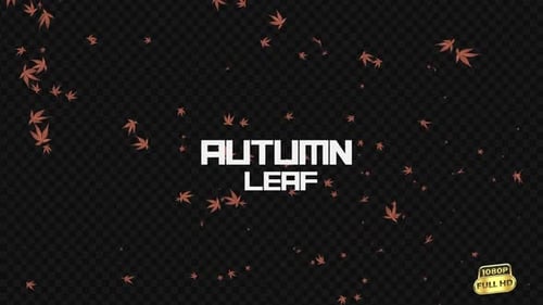Beautiful Autumn Maple Leaves Falling Transparent Overlay
