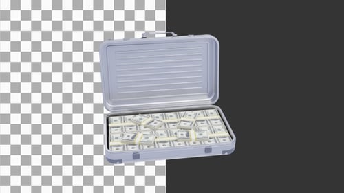3D Animation of Money Suitcase | Alpha Channel