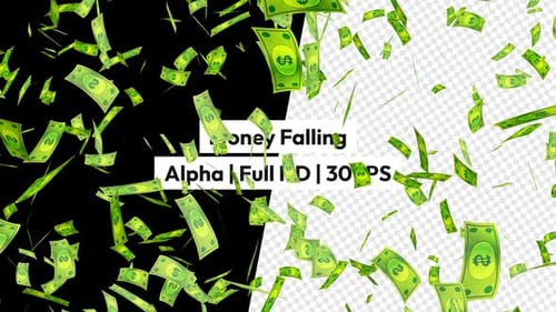 Falling Money Animation with Transparent Background