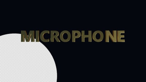 Microphone