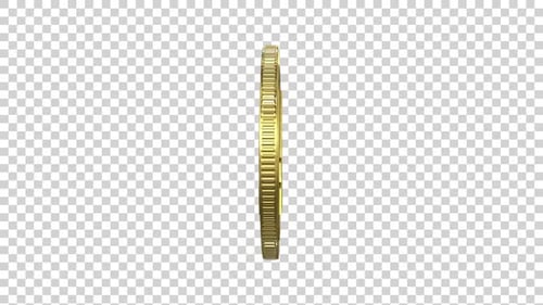 Boucle alpha de la pièce de cryptomonnaie Golden Litecoin