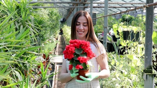 Woman Holding Red Flowers in Tropical Greenhouse
