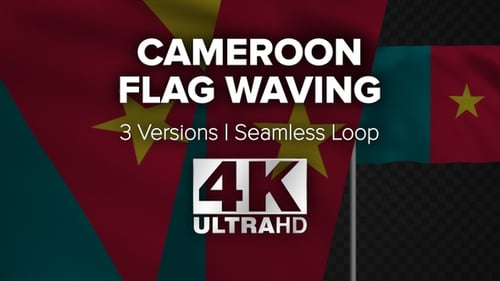 Cameroon Flag Waving Realistic Loop Animation