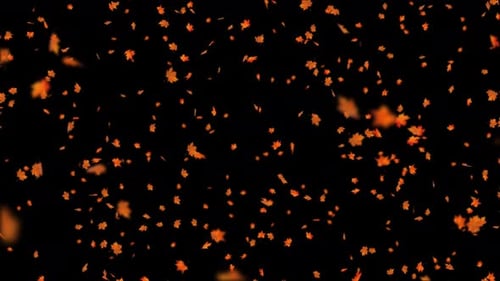 Falling Autumn Maple Leaves Overlay Loop