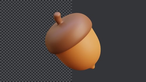3D-Animation mit Eichennüssen