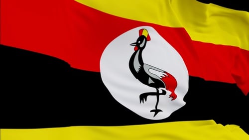 Waving Uganda Flag Vertical Animation With Alpha Channel