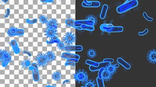 3D Gut Bacteria | Alpha Channel