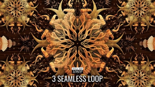 Wood Ethnic Ornaments