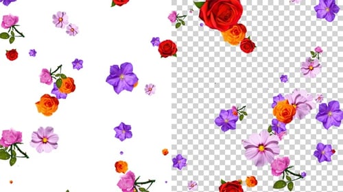 Fallende Blumen Alpha Loop V3