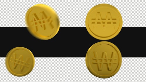 Pack Of Moving Gold Won Coins On Alpha Loop