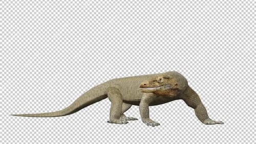 Boucle de vue droite de Komodo Dragons Idle 2