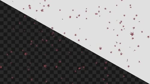 Smooth Animated Falling Autumn Leaves Loop