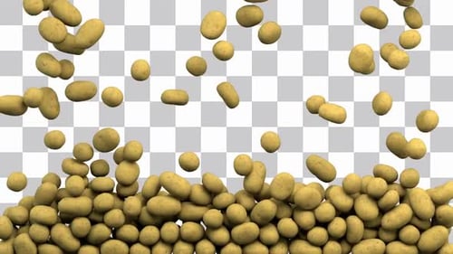 Realistic 3D Potatoes Filling Transition