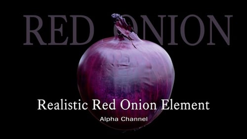 Realistic Red Onion Element Nature
