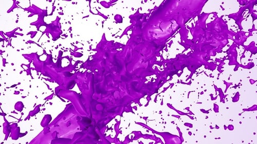 Dynamic Purple Paint Splash with Fluid Motion