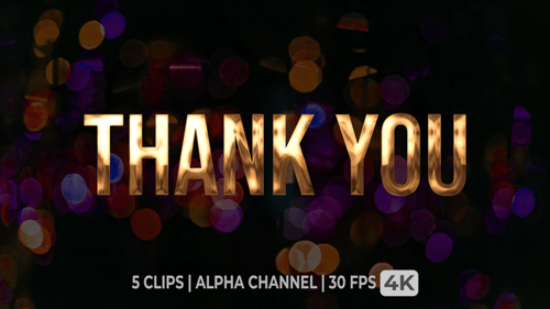 Animated Golden Metallic Thank You Text Reveal