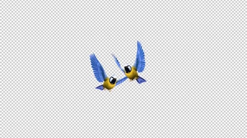 Blue Titmouse - Two Flying Birds - Passing Screen - II - Alpha Channel