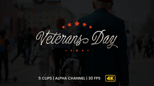 Veterans Day Metallic Script Title Reveal Animation