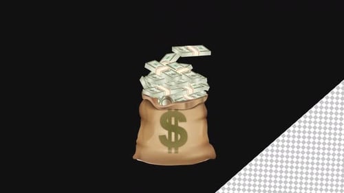 Geld fällt in die Tasche | Alpha channel