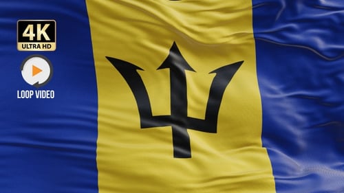Waving Barbados National Flag Realistic Seamless Loop