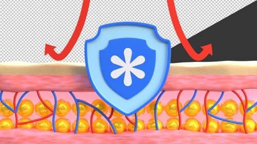 3D Skin Protection | Alpha Channel