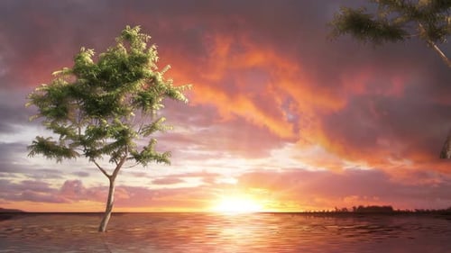 Animated Sunset Landscape with Lone Tree and Reflective Water