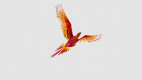 Phoenix Bird - Hot Red - Flying Loop - Back Angle View - Alpha Channel