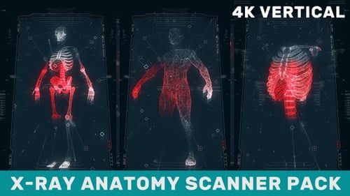 Futuristic Human Body and Skeleton Medical Scan HUD