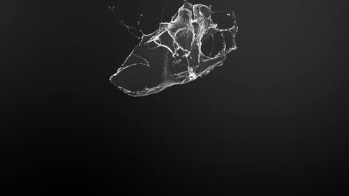 Dynamic Fluid Water Splash Reveal Effect