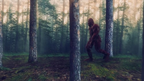Sasquatch im Wald 01