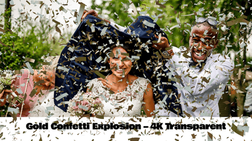 Sparkling Gold and Silver Confetti Burst Celebration Animation