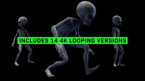 Animated Grey Aliens 3D Character Pack with Alpha Channel